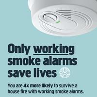 Only working smoke alarms save lives A3 Poster