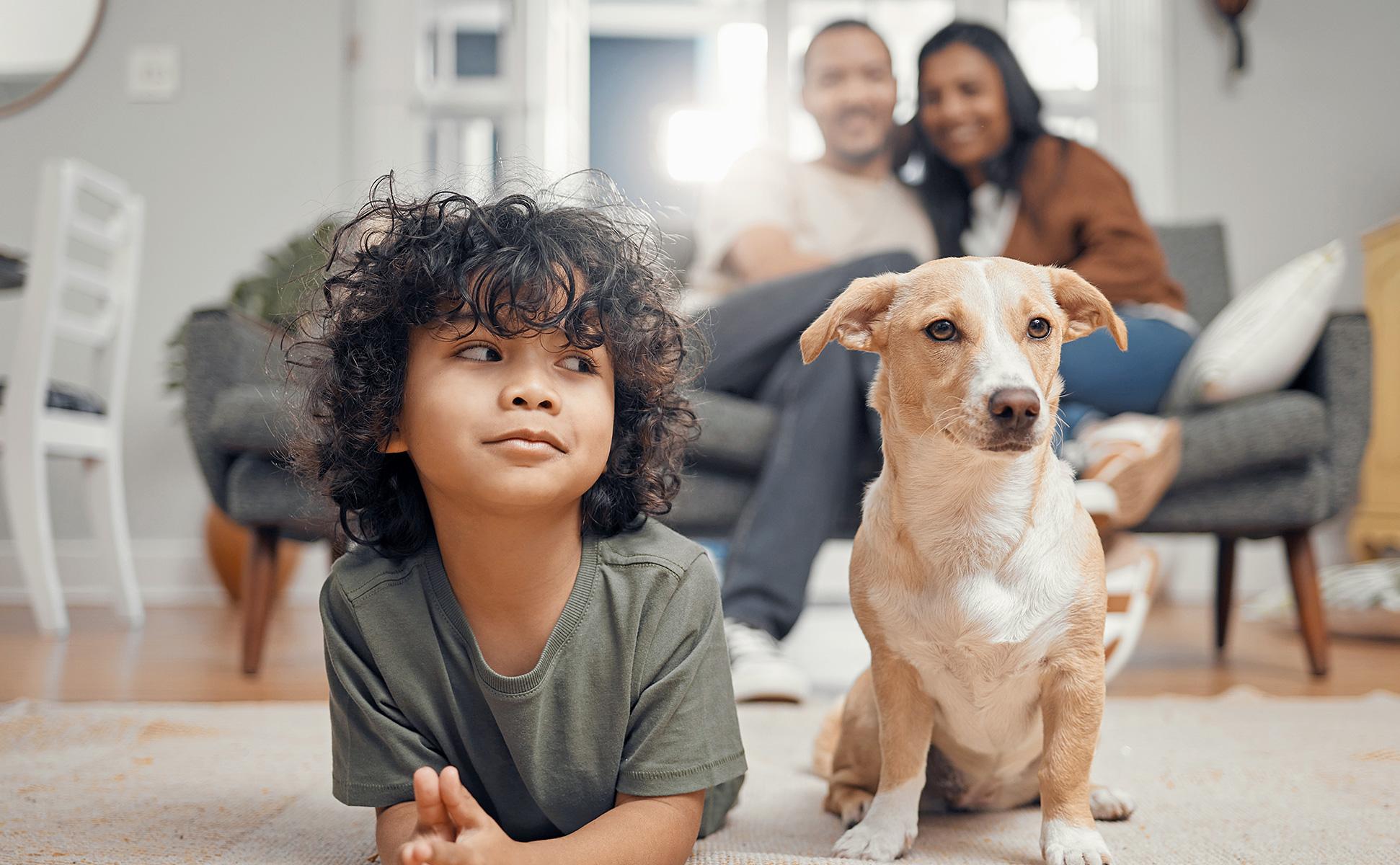 Home Fire Safety